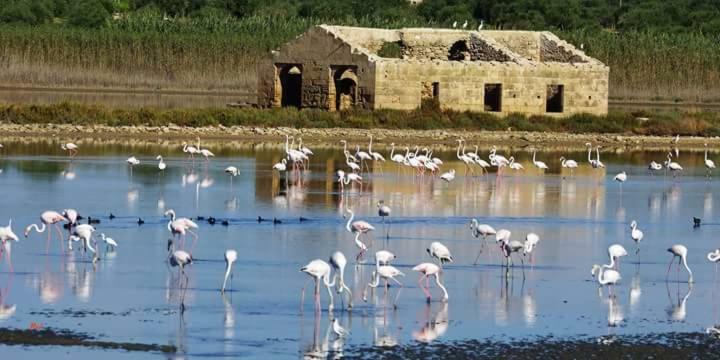 Hotel Casa Maritri Locazione Turistica à Marzamemi Extérieur photo